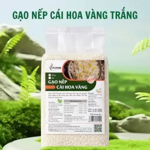 Gạo Nếp Cái Hoa Vàng OG