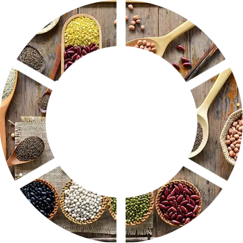 Chúng tôi luôn tâm huyết với sứ mệnh mang đến cho mọi người 