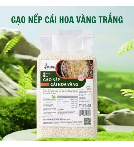 Gạo Nếp Cái Hoa Vàng OG