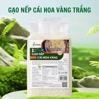 Gạo Nếp Cái Hoa Vàng OG